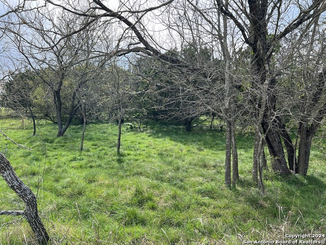 Image 9 of 26 For Lot 78 Lake Medina Shores