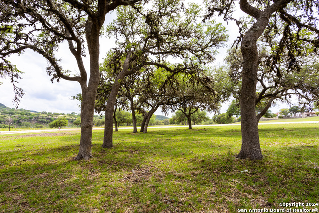 Image 19 of 46 For Lot 20 Ringtail Court