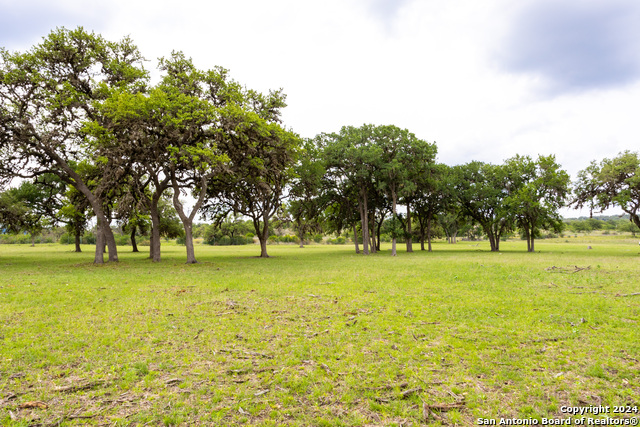 Image 25 of 46 For Lot 20 Ringtail Court