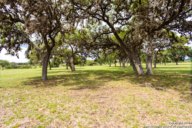 Image 9 of 46 For Lot 20 Ringtail Court