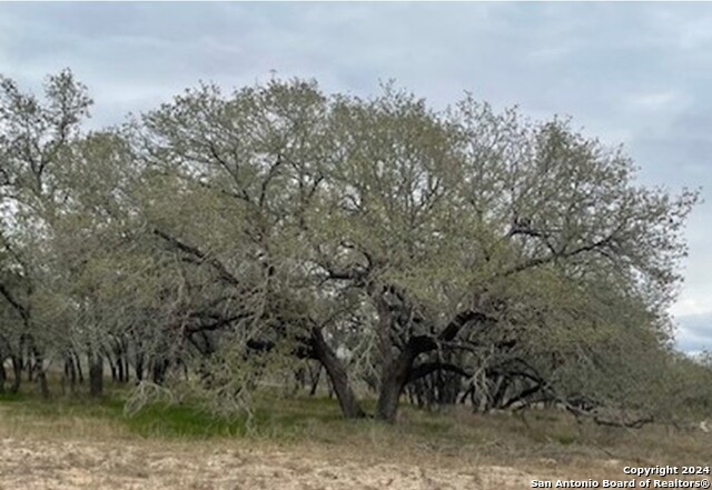 Image 8 of 10 For 537 County Road 781