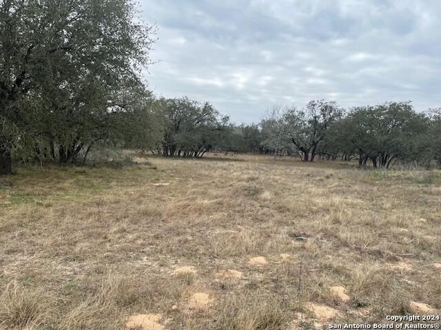 Image 9 of 10 For 537 County Road 781