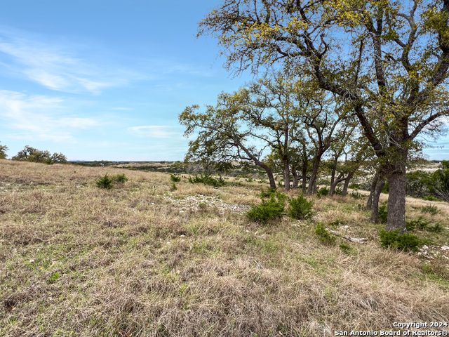 Image 11 of 14 For Lot 114 Cattlemans Crossing Dr