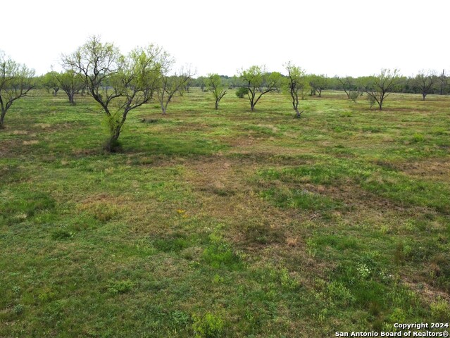 Image 6 of 15 For Tbd Desert Willow Dr.