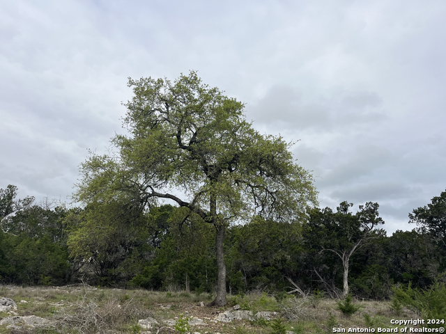 Image 13 of 18 For Lot 34 Monterey Trail