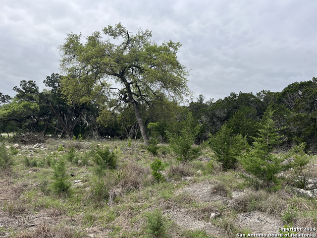 Image 6 of 18 For Lot 34 Monterey Trail