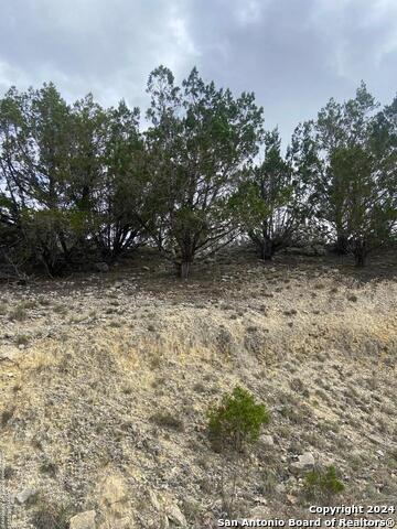 Image 4 of 10 For Tbd Bisonte Rojo  (mesa Verde Par