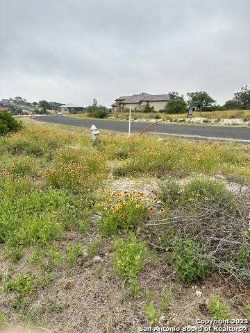 Image 12 of 18 For Lot 24 Pr 2771