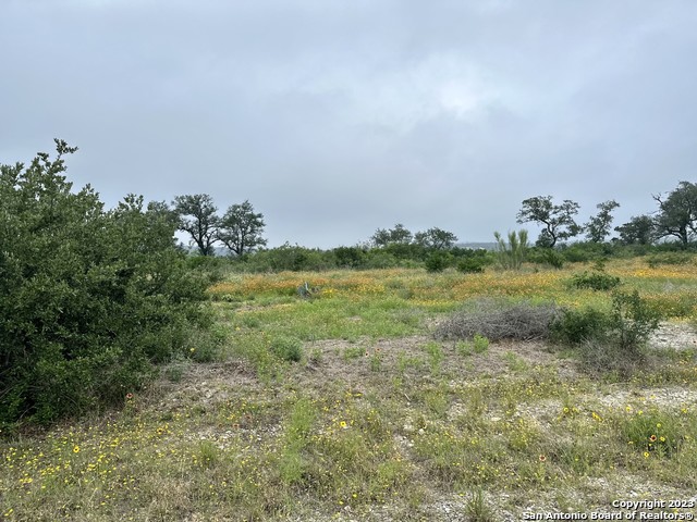 Image 16 of 18 For Lot 24 Pr 2771