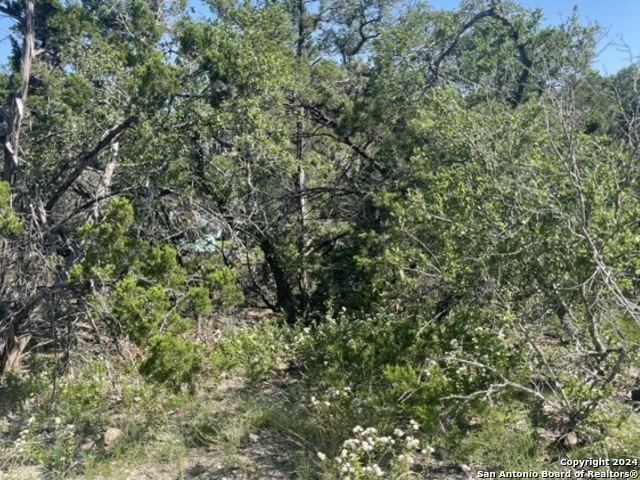 Details for 00 Tbd  , Spring Branch, TX 78070