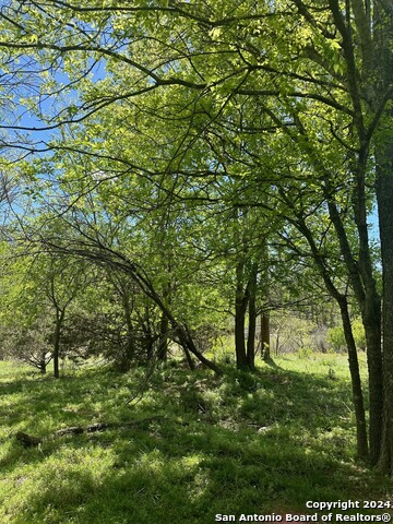 Image 8 of 12 For Lot 348 River Bend Rd