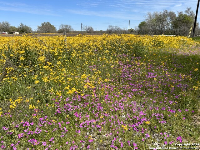 Details for Tbd County Road 342, La Vernia, TX 78121