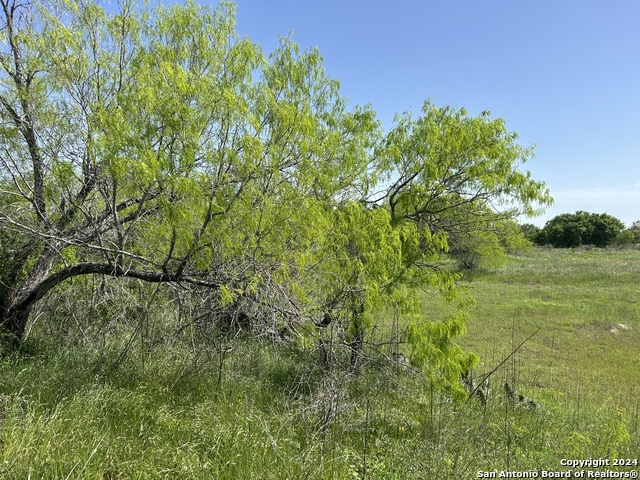 Image 3 of 11 For Tbd County Road 342