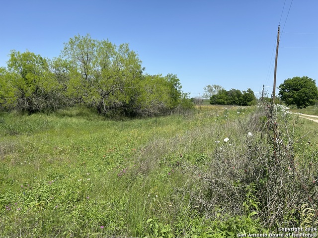 Image 5 of 11 For Tbd County Road 342