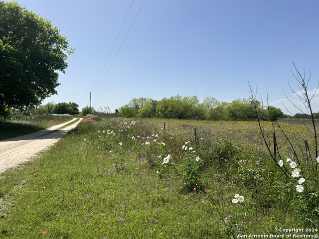 Image 8 of 11 For Tbd County Road 342