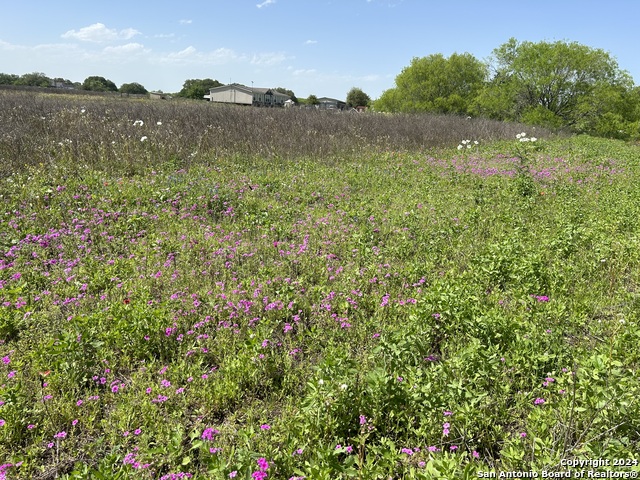 Image 9 of 11 For Tbd County Road 342