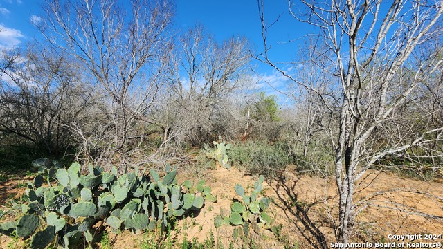 Image 8 of 21 For 20960 Us Highway 281