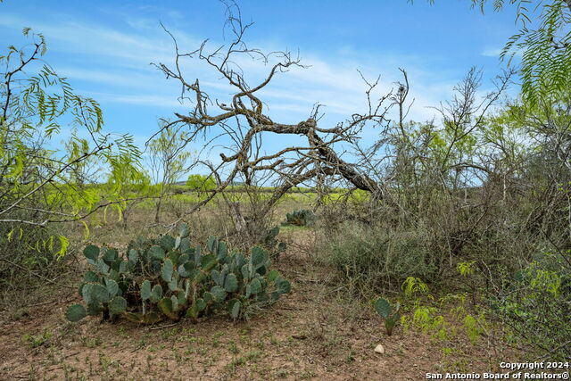 Image 12 of 16 For 3267-4093 County Road 101