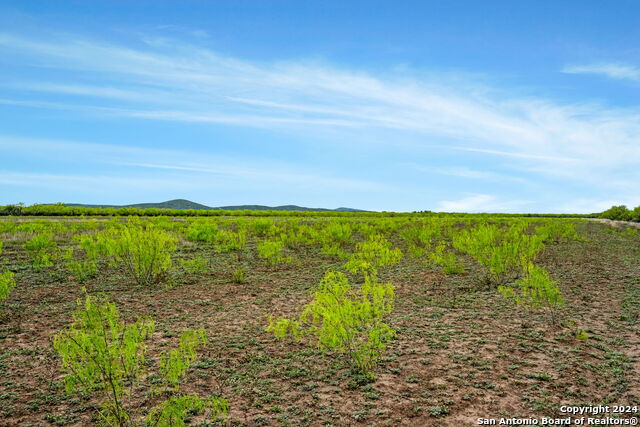 Image 14 of 16 For 3267-4093 County Road 101