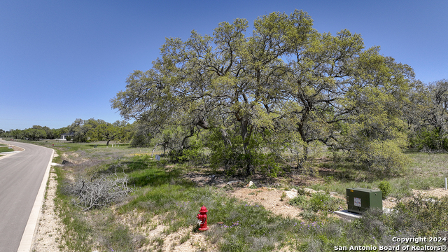 Image 15 of 23 For 34714 Shelly Bridge Pt