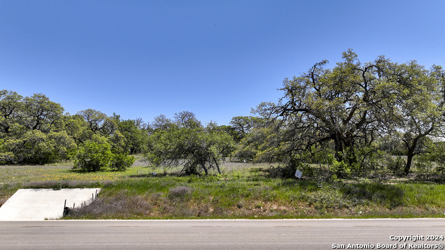 Image 21 of 23 For 34714 Shelly Bridge Pt