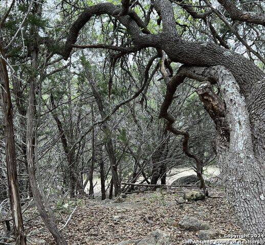 Image 9 of 16 For 0 Pecan  