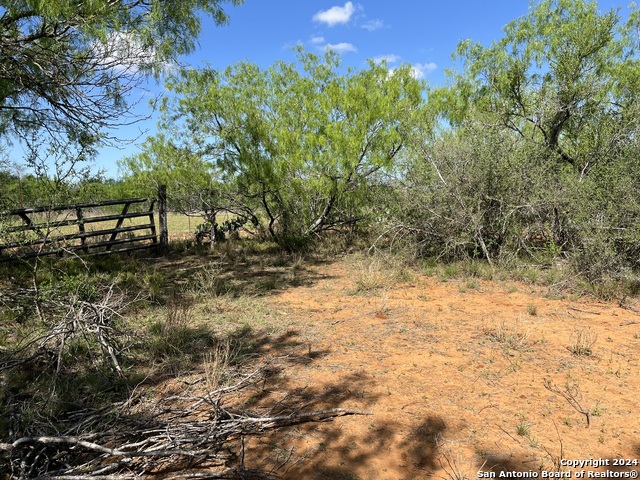 Details for 0 Carroll Road, Dilley, TX 78017