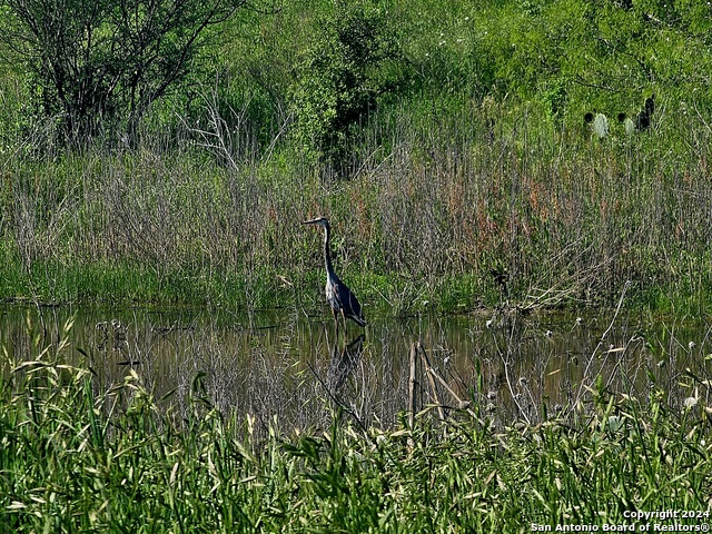 Image 4 of 11 For 7756 State Park