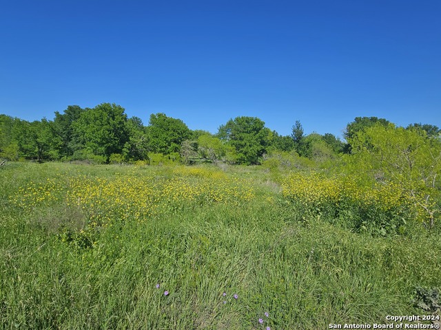 Image 5 of 11 For 7756 State Park