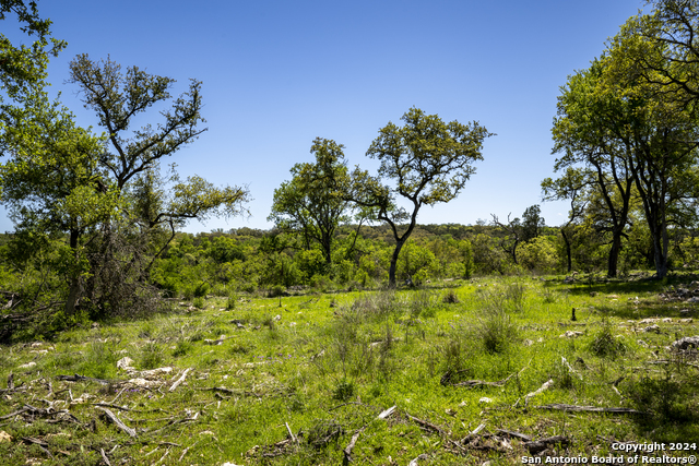 Image 9 of 15 For Lot 4 Sierra Pt