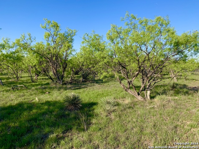 Image 10 of 29 For 4703 Scenic Lake Dr