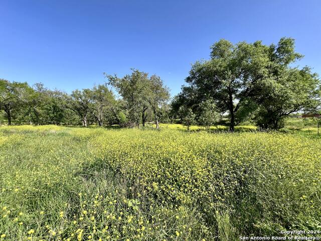 Image 7 of 13 For 188 Medium Meadow