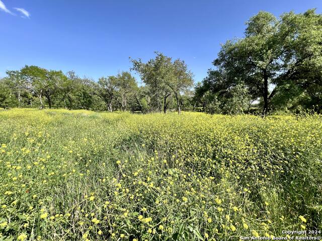 Image 8 of 13 For 188 Medium Meadow