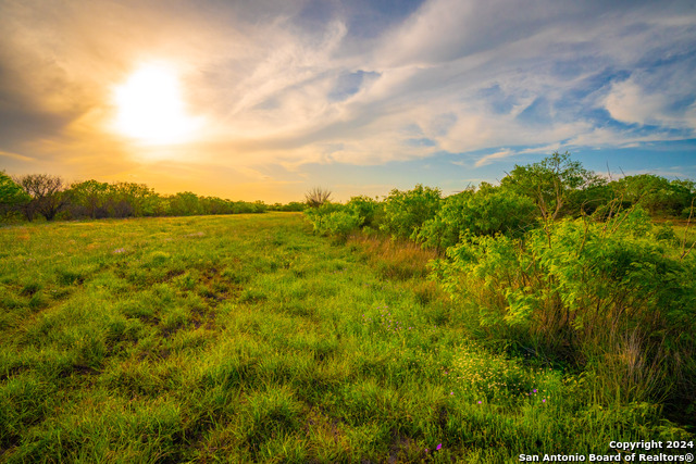 Image 11 of 31 For 3275 County Road 129