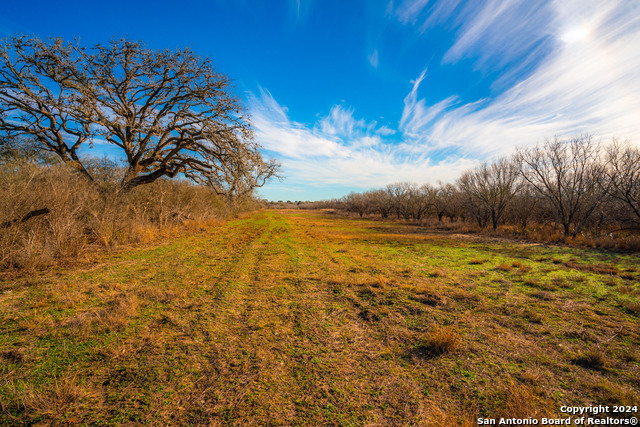 Image 18 of 31 For 3275 County Road 129