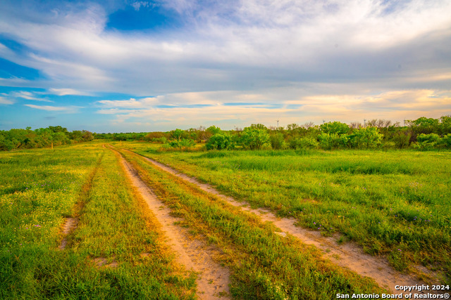 Image 29 of 31 For 3275 County Road 129