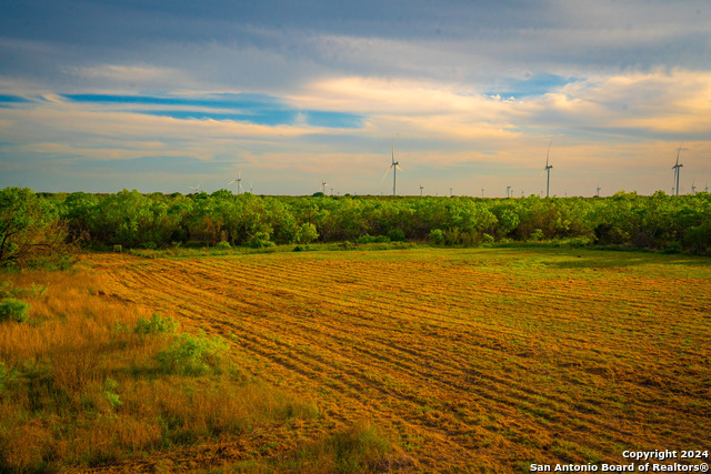 Image 6 of 31 For 3275 County Road 129