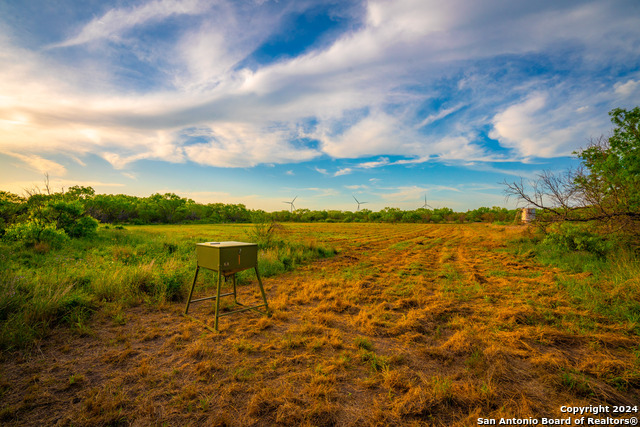 Image 9 of 31 For 3275 County Road 129