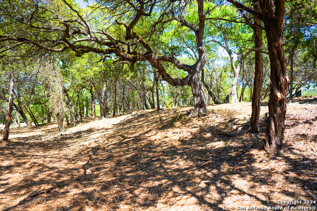 Image 10 of 13 For 128 Balcones Bend