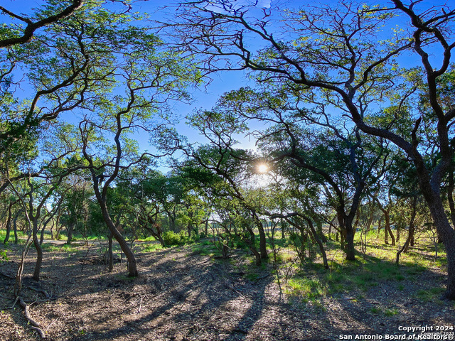 Details for Lot 87 Creekside At Camp Verde, Center Point, TX 78010