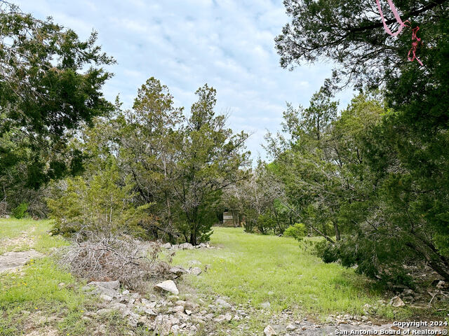 Listing Details for 0 Forest Lake Dr, Spring Branch, TX 78070