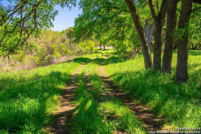 Image 10 of 39 For 29300 Boerne Stage