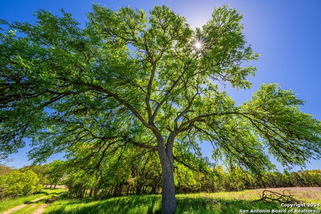 Image 13 of 39 For 29300 Boerne Stage