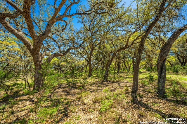 Image 29 of 39 For 29300 Boerne Stage