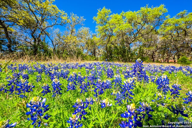 Image 3 of 39 For 29300 Boerne Stage