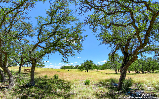 Listing photo id 8 for Lot 67 Loma Vista Ranch