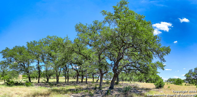 Listing photo id 9 for Lot 67 Loma Vista Ranch