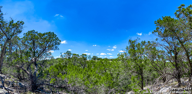 Listing photo id 11 for Lot 67 Loma Vista Ranch