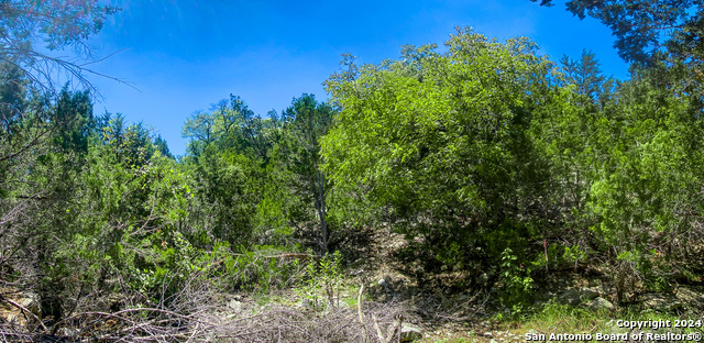 Listing photo id 13 for Lot 67 Loma Vista Ranch