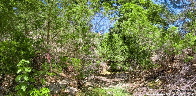 Listing photo id 14 for Lot 67 Loma Vista Ranch